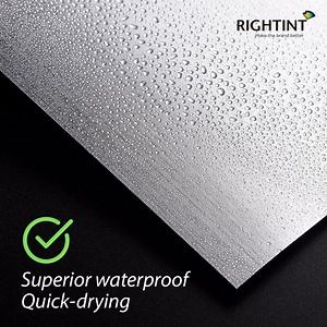 [Hot Item] Food Price Tags Rightint Carton Adhesive Paper Laser Vinyl Sticker