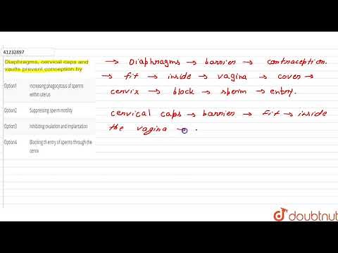 Diaphragms, cervical caps and vaults prevent conception by