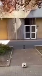 Make memories and impact children by becoming a role model this summer with Camp Leaders. 🇺🇸🏕️ | Camp Leaders