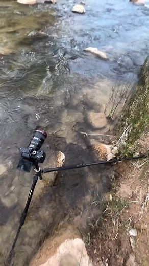 Beautiful Zion NP #outdoors #photography | Colby Bauman