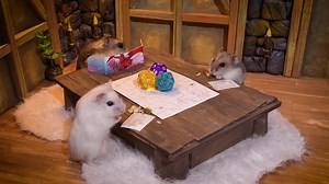 #HamsterMaze #CuteHamsters #HomuraHam Ep. 2 - Amazing DnD Hamster Maze by Homura Ham! Hamsters play a board game at home in which they search for the artifact "Dragon's Horn". This obstacle course and all the traps are made of cardboard, paper and other soft materials. #DnD #DungeonsAndDragons #Hamster #HomuraHam #Hamsters #FunnyHamsters #CuteHamsters #Pets #Animals #HamsterMaze #HamsterCourse Music: epidemicsound.com | Homura Ham