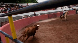 10K views · 171 reactions | Toro: Sabandija de Rancho Hermanos Sánchez Cuadrilla: Paso Morelos. TORNEO DE PUEBLOS | CHULO GUSTO | Facebook