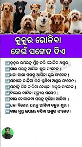କୁକୁର ଭୋକିବା କେଉଁ ସଙ୍କେତ ଦିଏ #Aama_Odisha_Kahani