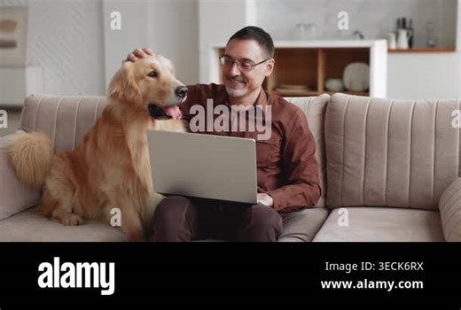 Middle age Caucasian man sitting on couch, spending leisure time in living room, stroking golden retriever dog and using laptop. Indoors relaxation, domestic pet companionship on weekend rest at home Stock Video Footage - Alamy
