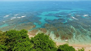 Eaux côtières peu profondes avec des : vidéo de stock (100 % libre de droit) 3977006933 | Shutterstock