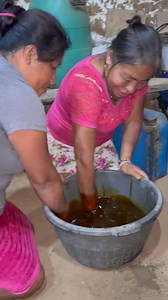 “I have been applying it [bioinsumos] in my coffee plantation, and...