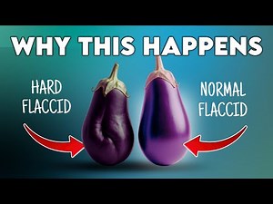 Hard Flaccid Syndrome (Why Your Penis Feels Hard When Flaccid)
