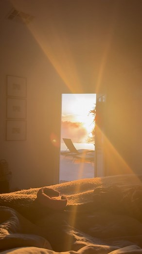 Time for some honesty… maybe it’ll help someone else. Long post… This morning - I woke up and this was my view. It’s a blessing from God that I do not deserve, yet I wake up to it. I woke up, recorded this video and then posted something in relation to my hatred for the tyrant in DC that caused excessive hell in my life. You guys don’t know the full story (yet), but I can assure you it’s been survival and brought me to a place of being so unhealthy mentally and physically that (mentally) it’ll t