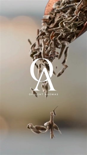 65K views · 190 reactions | What are your initials? #monogram #wedding #logo #wordmark #namelogo #tattooideas | Dani by Dsgn | Facebook