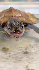 20K views · 159 reactions | Bath time dinner for E.T the...