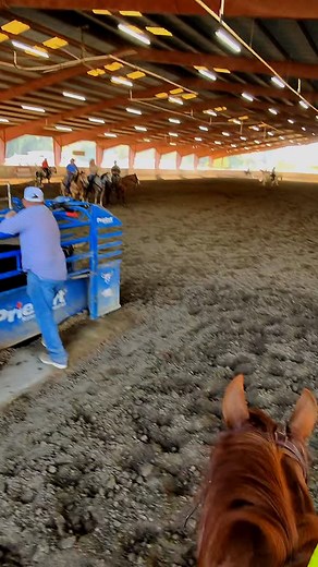 “Thats going on tiktok” 🤠🔥 - - - #liketime #roping #teamroping #roper #vaquero #cowboy #lioncito🦁 #horsesofinstagram #horses | Lioncitoo