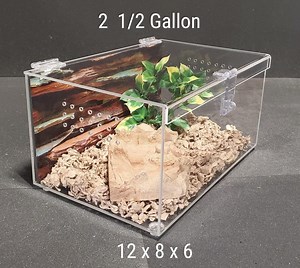 Reptile Enclosure, Tarantula Cage, 2 1/2 Gallon Size, Gecko, Terrarium - Etsy
