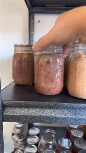 FOLLOW ALONG SO YOU DON’T MISS STOCKTOBER! Pumpkin Purée (can be pressure canned or frozen!) Cut your pumpkin in half and remove the seeds and guts. Place face down on a baking sheet and bake at 375 for 60 mins. Place on the counter to cool, then remove the skins and place in a blender. Purée until smooth, adding water as needed. Place your purée into pint size jars and debubble. Wipe your rims and add lids and rings finger tight. Pressure can for 75 mins at 15lbs pressure! *this is a rebel cann