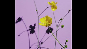 <&sol;a><script>alert&lpar;0&rpar;<&sol;script>