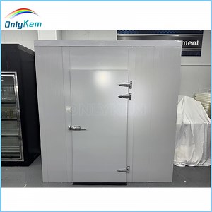 [Hot Item] Customized Cold Room for Food Storage