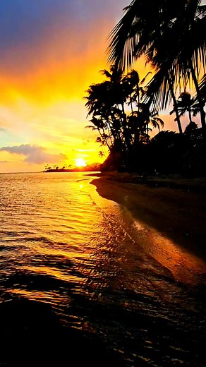 2.4K reactions · 555 shares | Sunset Hawaii Danny Hale #hawaii #calm #beach | Danny Hale | Facebook