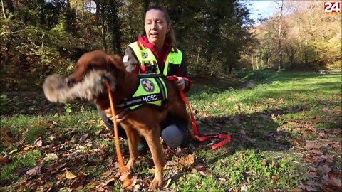 Damica hitno traži trajni dom!