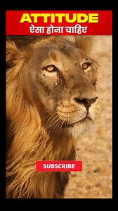 Neon Classes on Reels