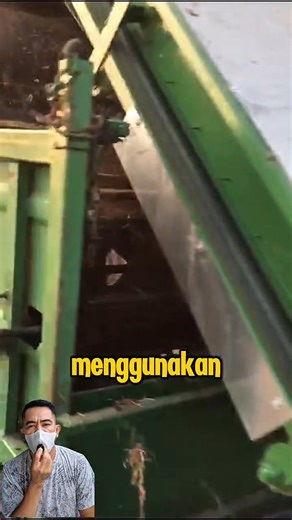 2.5K views · 22 reactions | Beginilah proses penjemuran anggur untuk dijadikan kismis #kismis #Viralvideo | Saepul Rahman | Facebook