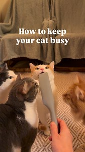 41K views · 4.1K reactions | This simple enrichment game is SO useful...