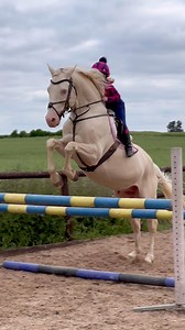 Just having fun riding Ace #ivythomascook #youngrider #equestriangirl #rider #showjumping #pony #stallion #horse #showjumper | Jumping with Ivy