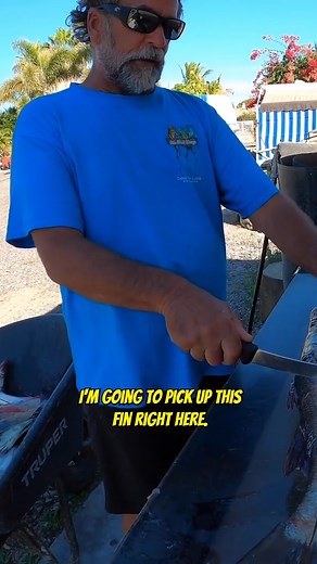 How to Fillet a Black Snook - Part 1 Are you tired of sucking at fishing and want to learn and get more comfortable on the water? I Captain Dave created a mobile app “Your Saltwater Guide” with 400 videos showing and teaching you the ways of Saltwater Fishing. Your Saltwater Guide App Available Now on the Apple App Store & Google Play Store! #blacksnook #snookfishing #mexicofishing #blacksnookfillet #snookfillet #filletingfish #fishfillet #sportfishing #fishing #fish | Your Saltwater Guide