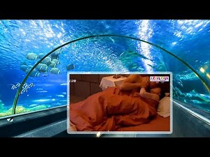 [MV] Songs For Love - KOREAN DRAMA KISS COMPILATION #18 HD