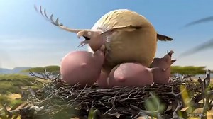 9.8K views · 167 reactions | ///Fat Animals https://www.facebook.com/RollinWild/ | Team Loco | Facebook