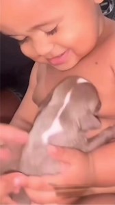 2.3K views · 39 reactions | Little puppy and cute baby funny moments 藍藍藍. . . . . #puppy #puppylove #puppies #funny #babygirl #funnyreels #reelsfbシ @highlight Jitendra Singh Pushi Vlogs Alutka Kuś Rekha Gayary Jayita Dhar Beatrice Magyar Ansuli Owary Dwithun Basumatary Jharna Devi Sumitra Sangma Bikash Roy Rashmi Uzir Dhananjoy Narzary Anima Uzir Sonjit Sing Judy West Bapi Debnath Mozammel Haque Junan Chakma Junan Mirza M Marak | Pets Paradise | Facebook