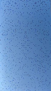 The process revealed. Starting with the idea of irregularities, both in manmade and natural surfaces, leading to Myr and Mylla by Note Design Studio. “We were in search of something imperfect, where the textile would seem to be a bit non-structural, in the same way material surfaces have their irregularities. We worked on many physical prototypes in the studio, sewing the filled fabric to test how the placement of stitches affected the ‘random’ surface pattern.” – Charlotte Ackemar, Senior Desig