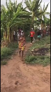 1.1K views · 16 reactions | This is “Tɛkpɛɛ Yami” the final stage of...