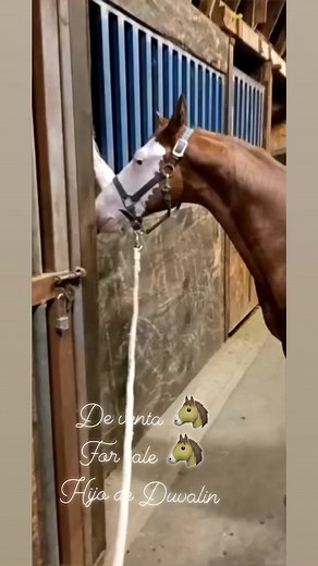 Celso Ramirez on Reels