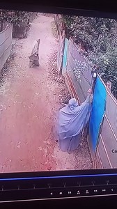 Ashi bandi yes krwao 🥵 | Memes by Pawpaw