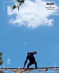 214K views · 375 reactions | He was so smug about it too | Metro | Facebook