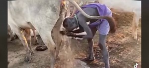 THE FAMOUS “CAVAN MAN SHOWER” | The Northern Stranded