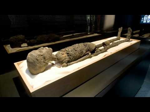 King Tut Exhibit exclusively at Discovery Times Square Exposition