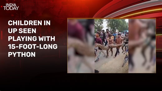 Video: Children toy, shoot reels with 15-foot-long python in UP's Bulandshahr