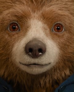 1.1K views · 16 reactions | Hij is terug! Ga mee op een gloednieuw avontuur in de eerste trailer van #PaddingtonInPeru, vanaf januari 2025 in de bioscoop. | Dutch FilmWorks | Facebook