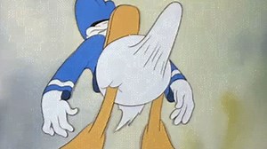 Donald Duck Boner | Know Your Meme