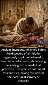 Deep within the annals of ancient Egyptian medicine lies a fascinating blend of mysticism and empirical knowledge. The civilization that gave rise to the pyramids and intricate burial rites also had a profound understanding of medical treatments, which included the use of moldy bread for wound care. This practice may sound bizarre to us today, but it was based on keen observation. The Egyptians noted that when wounds were covered with moldy bread, they would often heal faster and more cleanly th