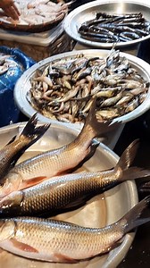 Biggest fish markets in Bangladesh | FishingBd420