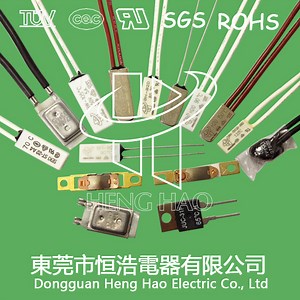 [Hot Item] Bw9700 Snap-Action Thermostat Bw9700 Temperature Cut out Switch