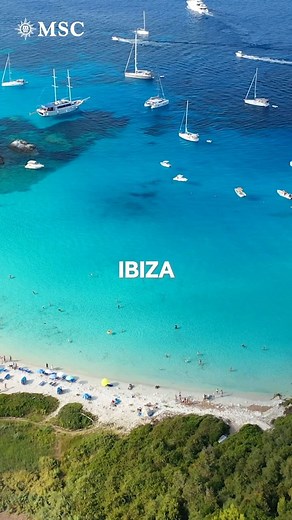 Cruise This Summer from Rome🇮🇹#msccruises #cruisedeals | Vent Nouveau Travel & Tourism