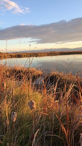 890 reactions · 219 shares | Take a few moments, relax and get away from it all with your daily dose of Colorado calm. Fan video from Emily Sierra Photography | Visit Colorado | Facebook
