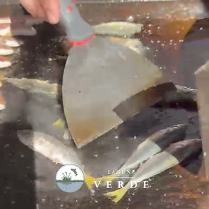 Laguna Verde on Reels