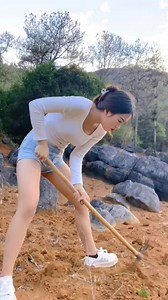 Dig sweet potatoes | GMCooking