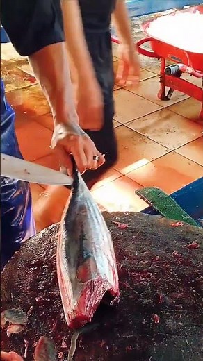 Jaw - Dropping 29 seconds Skipjack Tuna Splitting | No Edit! #shorts #NoEdit #tunacutting #fish
