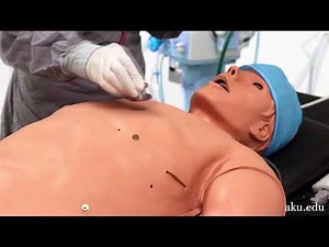 Exploring the Human Patient Simulator at CIME