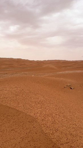 Rainfall in the Sahara: Rare Desert Shower in Algeria