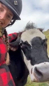 7.2K views · 177 reactions |  **Cow homes needed**  We have so...